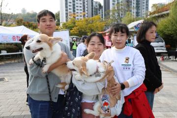 반려동물 명랑운동회